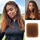 Auburn Brown #30 Color Affordable Afro Kinky Bulk Human Hair Extensions For Braiding DreadLock Auburn Brown #30 Color Affordable Afro Kinky Bulk Human Hair Extensions For Braiding DreadLock
