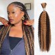 Highlight P4/27 Kinky Curly Bulk Hair Extensions for Boho Knotless Braiding Highlight P4/27 Kinky Curly Bulk Hair Extensions for Boho Knotless Braiding