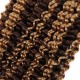 Highlight P4/27 Kinky Curly Bulk Hair Extensions for Boho Knotless Braiding Highlight P4/27 Kinky Curly Bulk Hair Extensions for Boho Knotless Braiding