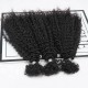 Natural Black #1B Afro Kinky Curly Human Bulk Hair Extensions for Boho Knotless Braiding Natural Black #1B Afro Kinky Curly Human Bulk Hair Extensions for Boho Knotless Braiding