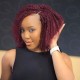 Affordable Afro Kinky Bulk Human Hair Extension 99J Burgundy Color For Braiding DreadLock Affordable Afro Kinky Bulk Human Hair Extension 99J Burgundy Color For Braiding DreadLock