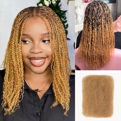 Honey Blonde #27 Color Afro kinky Bulk Hair Extensions For Braiding Dreadlock Human Hair Honey Blonde #27 Color Afro kinky Bulk Hair Extensions For Braiding Dreadlock Human Hair