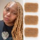 Honey Blonde #27 Color Afro kinky Bulk Hair Extensions For Braiding Dreadlock Human Hair Honey Blonde #27 Color Afro kinky Bulk Hair Extensions For Braiding Dreadlock Human Hair