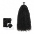 Afro Kinky Curly I Tip Hair Extensions Natural Black Human Hair