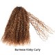 Lite Edition|Curly Highlight #P4/27 Feather Crochet Human Hair|Lightweight Crochet Weave Hair Extension Lite Edition|Curly Highlight #P4/27 Feather Crochet Human Hair|Lightweight Crochet Weave Hair Extension
