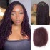 Mix #1B/99J Color Afro Kinky Bulk Human Hair Extensions For Braiding Dreadlock Hair