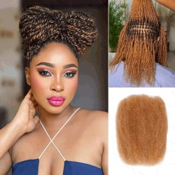 Mix Color #27/30 Afro Kinky Bulk Human Hair Extensions for Braiding DreadLock Mix Color #27/30 Afro Kinky Bulk Human Hair Extensions for Braiding DreadLock