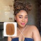Mix Color #27/30 Afro Kinky Bulk Human Hair Extensions for Braiding DreadLock Mix Color #27/30 Afro Kinky Bulk Human Hair Extensions for Braiding DreadLock
