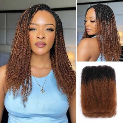 Ombre Brown #T1B/30 Afro kinky Bulk Human Hair for Braiding & Twists Ombre Brown #T1B/30 Afro kinky Bulk Human Hair for Braiding & Twists