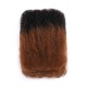 Ombre Brown #T1B/30 Afro kinky Bulk Human Hair for Braiding & Twists Ombre Brown #T1B/30 Afro kinky Bulk Human Hair for Braiding & Twists