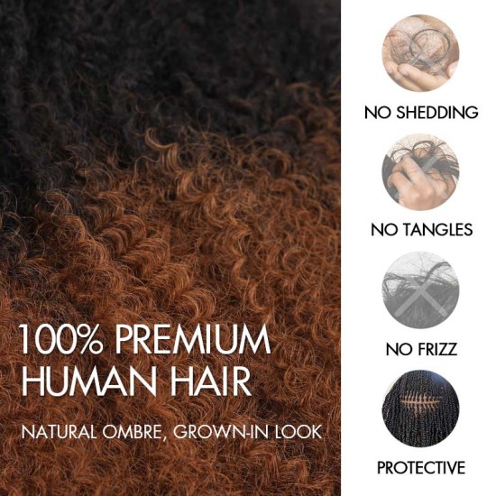 Ombre Brown #T1B/30 Afro kinky Bulk Human Hair for Braiding & Twists Ombre Brown #T1B/30 Afro kinky Bulk Human Hair for Braiding & Twists