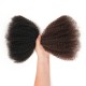 Ombre Brown #T1B/4 Afro kinky Bulk Human Hair Extensions for Braiding & Twists Ombre Brown #T1B/4 Afro kinky Bulk Human Hair Extensions for Braiding & Twists
