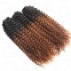 Premium Chinese Hair Water Wave Virgin Human Crochet Hair Ombre #T1B/30 Machine Made Feather Crochet Hairstyles Premium Chinese Hair Water Wave Virgin Human Crochet Hair Ombre #T1B/30 Machine Made Feather Crochet Hairstyles