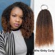 Premium Chinese Hair Water Wave Virgin Human Crochet Hair Ombre #T2/30 Machine Made Feather Crochet Hairstyles Premium Chinese Hair Water Wave Virgin Human Crochet Hair Ombre #T2/30 Machine Made Feather Crochet Hairstyles