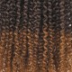 Premium Chinese Hair Afro Kinky Curly Virgin Human Crochet Hair Ombre #T2/30 Machine Made Feather Crochet Hairstyles Premium Chinese Hair Afro Kinky Curly Virgin Human Crochet Hair Ombre #T2/30 Machine Made Feather Crochet Hairstyles