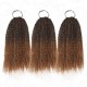 Premium Chinese Hair Afro Kinky Curly Virgin Human Crochet Hair Ombre #T2/30 Machine Made Feather Crochet Hairstyles Premium Chinese Hair Afro Kinky Curly Virgin Human Crochet Hair Ombre #T2/30 Machine Made Feather Crochet Hairstyles