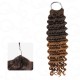 Premium Chinese Hair Deep Wave Virgin Human Crochet Hair Ombre #T2/30 Machine Made Feather Crochet Hairstyles Premium Chinese Hair Deep Wave Virgin Human Crochet Hair Ombre #T2/30 Machine Made Feather Crochet Hairstyles
