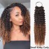 Premium Chinese Hair Small Kinky Curly Virgin Human Crochet Hair Ombre #T2/30 Machine Made Feather Crochet Hairstyles