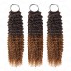 Premium Chinese Hair Small Kinky Curly Virgin Human Crochet Hair Ombre #T2/30 Machine Made Feather Crochet Hairstyles Premium Chinese Hair Small Kinky Curly Virgin Human Crochet Hair Ombre #T2/30 Machine Made Feather Crochet Hairstyles