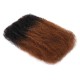 Ombre Afro Kinky Bulk Braids Hair Extensions for Passion Twists & Locs Ombre Afro Kinky Bulk Braids Hair Extensions for Passion Twists & Locs