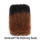 Ombre Afro Kinky Bulk Braids Hair Extensions for Passion Twists & Locs Ombre Afro Kinky Bulk Braids Hair Extensions for Passion Twists & Locs