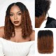 Ombre Afro Kinky Bulk Braids Hair Extensions for Passion Twists & Locs Ombre Afro Kinky Bulk Braids Hair Extensions for Passion Twists & Locs