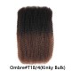 Ombre Afro Kinky Bulk Braids Hair Extensions for Passion Twists & Locs Ombre Afro Kinky Bulk Braids Hair Extensions for Passion Twists & Locs