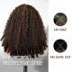 Brown Highlight V Part Wigs Burmese Curly Invisible Lace Edge Human Hair Wig Brown Highlight V Part Wigs Burmese Curly Invisible Lace Edge Human Hair Wig