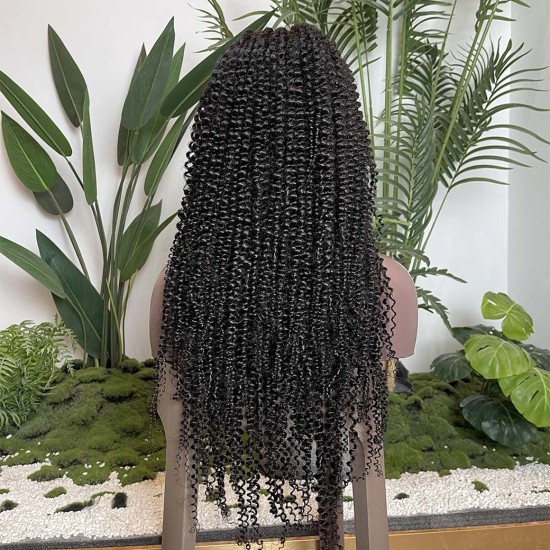 AYEHAIRPRO Kinky Curly Hair Super Virgin Hair Lace Wig AYEHAIRPRO Kinky Curly Hair Super Virgin Hair Lace Wig